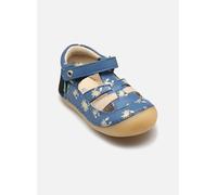 Kickers - Sushy Blu - Ballerine 26 Blu