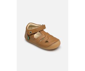 Kickers - Sushy Marrone - Ballerine 26 Marrone