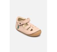 Kickers - Sushy Rosa - Ballerine 23 Rosa