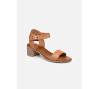 Kickers - Volou Marrone - Sandali e scarpe aperte 36 Marrone