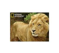 kidicraft National Geographic Super 3D Cartolina Mommovente, Leone Africano