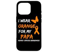 Kidney Cancer I Wear Orange For My Papa Ribbon Custodia per iPhone 16 Pro
