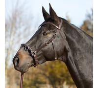 Kieffer Cavezza Ultra Morbido - Marrone - Sangue Caldo Kapp Briglia Cavalli