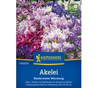 Kiepenkerl Aquilegia - Biedermeier - 1 conf.