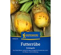 Kiepenkerl Barbabietola da Foraggio "Eckdogelb" - 1 conf.