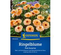 Kiepenkerl Calendula - Pink Surprise - 1 conf.