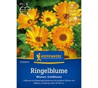 Kiepenkerl Calendula - Wiesen Goldblume - 1 conf.