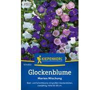 Kiepenkerl Campanula Toscana "Marien Mischung" - 1 conf.
