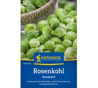 Kiepenkerl Cavolini di Bruxelles - Roodnerf - 1 conf.