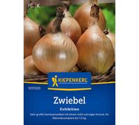 Kiepenkerl Cipolla - Exhibition - 1 conf.