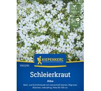 Kiepenkerl Gipsofila - Alba - 1 conf.