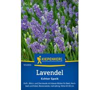 Kiepenkerl Lavanda - Echter Speik - 1 conf.