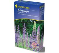 Kiepenkerl Lupino per Sovescio - 2 kg - 2 kg