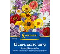 Kiepenkerl Magia Floreale Estiva - 1 conf.