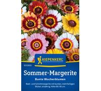 Kiepenkerl Margherita Carinata - Bunte Wucherblumen - 1 conf.