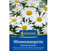 Kiepenkerl Margherita Comune - Wilde Wucherblume - 1 conf.