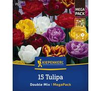 Kiepenkerl Mega Pack - Mix di Tulipani Doppi - 15 pz.