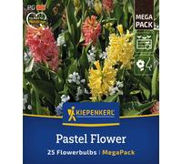 Kiepenkerl Mega Pack - Pastel Flower - 25 pz.