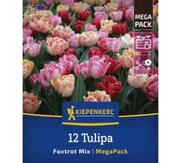 Kiepenkerl Mega Pack - Tulipani Doppi Foxtrot Mix - 12 pz.