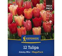 Kiepenkerl Mega Pack - Tulipani Triumph Jimmy Mix - 12 pz.