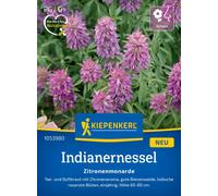 Kiepenkerl Menta Limone - 1 conf.