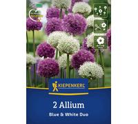 Kiepenkerl Mix di Allium Blue & White - 2 pz.
