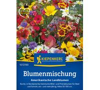 Kiepenkerl Mix di Fiori - Campagna Americana - 1 conf.