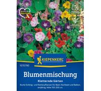 Kiepenkerl Mix di Fiori Rampicanti - 1 conf.