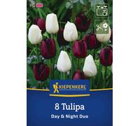 Kiepenkerl Mix di Tulipani Day & Night - 8 pz.