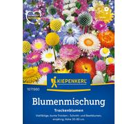 Kiepenkerl Mix per Fiori Secchi - 1 conf.