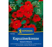 Kiepenkerl Nasturzio "Kaiserin Viktoria" - 1 conf.