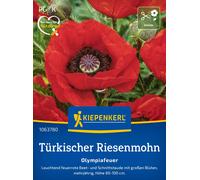 Kiepenkerl Papavero Orientale - Olympiafeuer - 1 conf.