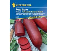 Kiepenkerl Profi-Line - Semi di barbabietola Taunus, F1 3057 - Barbabietole ricche di succo, contenuto per 15 metri lineari, lunghezza frutta 15-20 cm, semi di ortaggi, semi