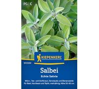 Kiepenkerl Semi di salvia reale 1013300 - Condimento perenne, tè e erbe aromatiche con un'altezza da 50 a 60 cm e un contenuto per 50 piante - Semi di erbe aromatiche
