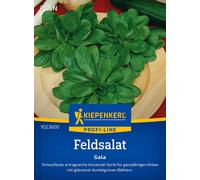 Kiepenkerl Valeriana - Gala - 1 conf.
