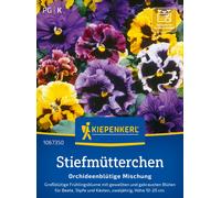 Kiepenkerl Viola Wittrockiana "Orchideenblütige Mischung" - 1 conf.