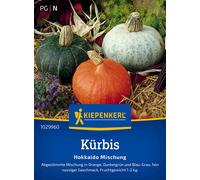 Kiepenkerl Zucca - Hokkaido Mix - 1 conf.