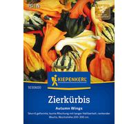Kiepenkerl Zucca Ornamentale - Autumn Wings - 1 conf.