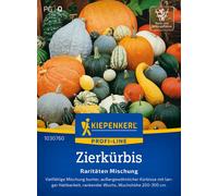 Kiepenkerl Zucca Ornamentale - Mix di Rarità - 1 conf.