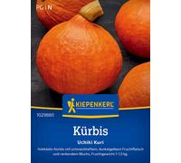 Kiepenkerl Zucca - Uchiki Kuri - 1 conf.