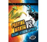 Praying Mantis Vs. Black Widow Spider