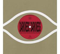 Kieran Hebden & William Tyler Darkness, Darkness + No Services (Vinyl LP)
