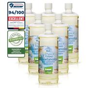 KieselGreen Bioethanolo 6 x 1 litro con Fragranza per Caminetto a Etanolo - Bio-etanolo profumato per Ambienti, molte Fragranze - Profumo per Caminetto a bioetanolo da Interno o da Tavolo M