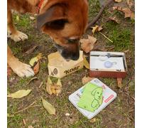 Kikkerland Kobe Hiking Kit 12605