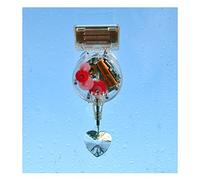 Kikkerland Rainbow Maker a cuore, Transparent