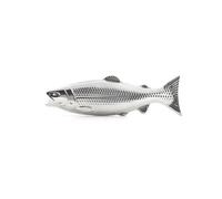 KIKKERLAND SAPONE MAGICO A FORMA DI PESCE