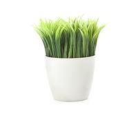 Kikkerland vaso penna stand (SC24)
