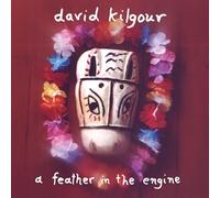 David Kilgour A Feather in the Engine (Vinyl LP) 12" Remastered Album