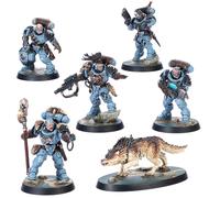 Kill Team: Wolf Scouts | Box 6