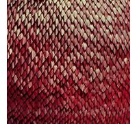 Kill The Vultures - Carnelian